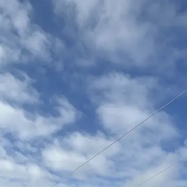 Profile image of まなと