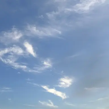 Profile image of しゅんと