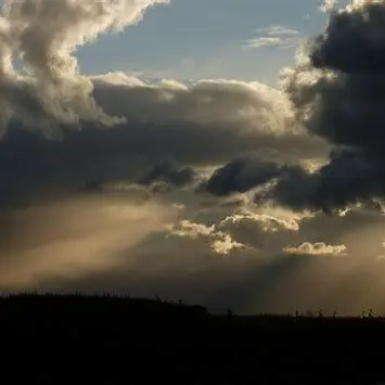 MagicActor4343의 조직 제베원