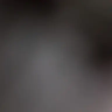 Profile image of 황유경