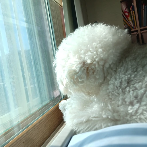 이제 운영 안합니다
