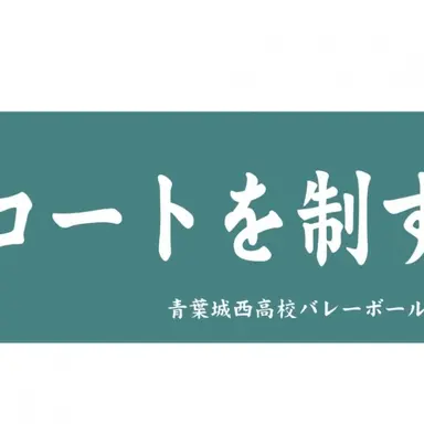 Profile image of 青城