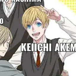 Profile image of KEIICHI AKEMI