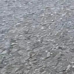 Profile image of rui