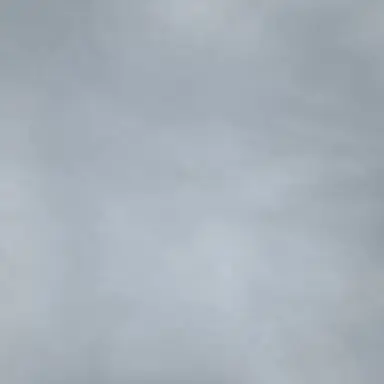 Profile image of 이니나 코이누