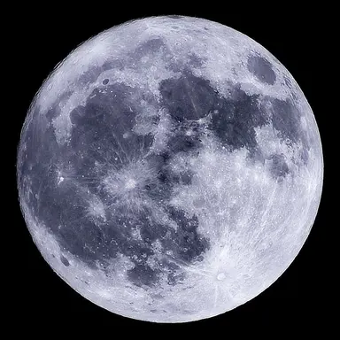 Profile image of ニコラス