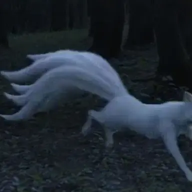 Profile image of 정형준