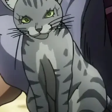Profile image of 고양이