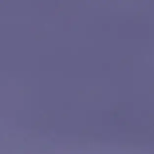 Profile image of 星導ショウ