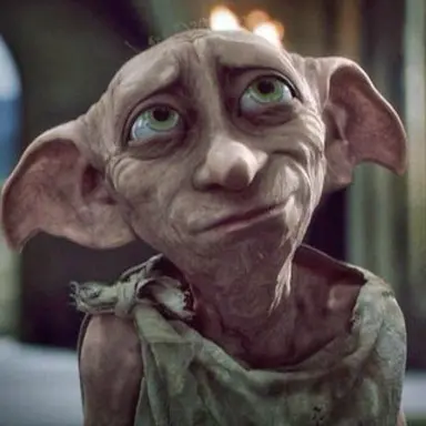 Profile image of Dobby
