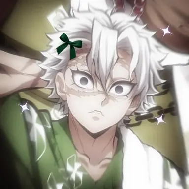 Profile image of Sanemi Shinazugawa