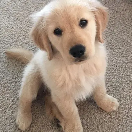 SubtleVideo1374의 스트레이키즈