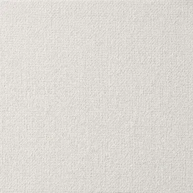 Profile image of The Stark White Canvas