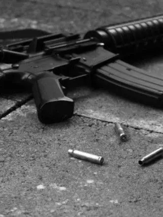 2425의 🪶 | 너에게 총구가 향하지 않길