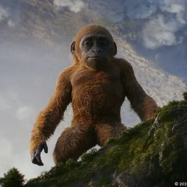 Profile image of 수코