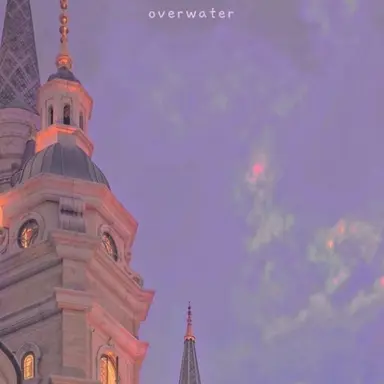 Profile image of 유기사