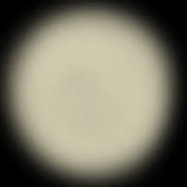 Profile image of 아이리스