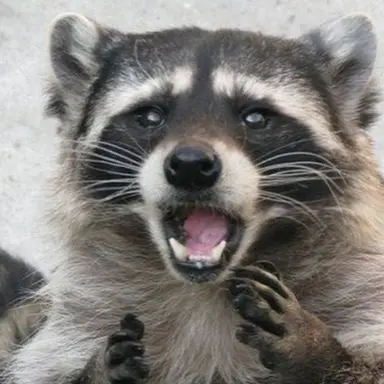 Profile image of 대마왕