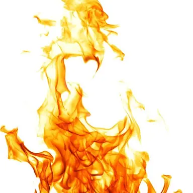 Profile image of 카나분