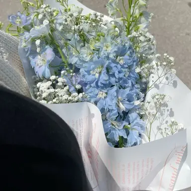 Profile image of 파이브