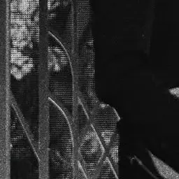 Profile image of 大森元貴