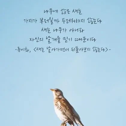 FunnySpoon3834의 미미