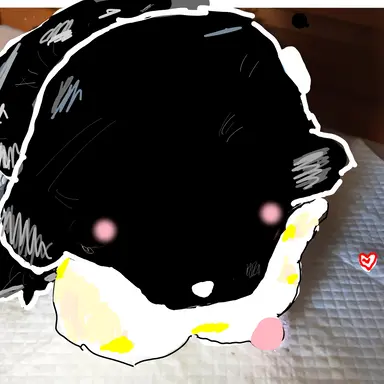 Profile image of 아콩이