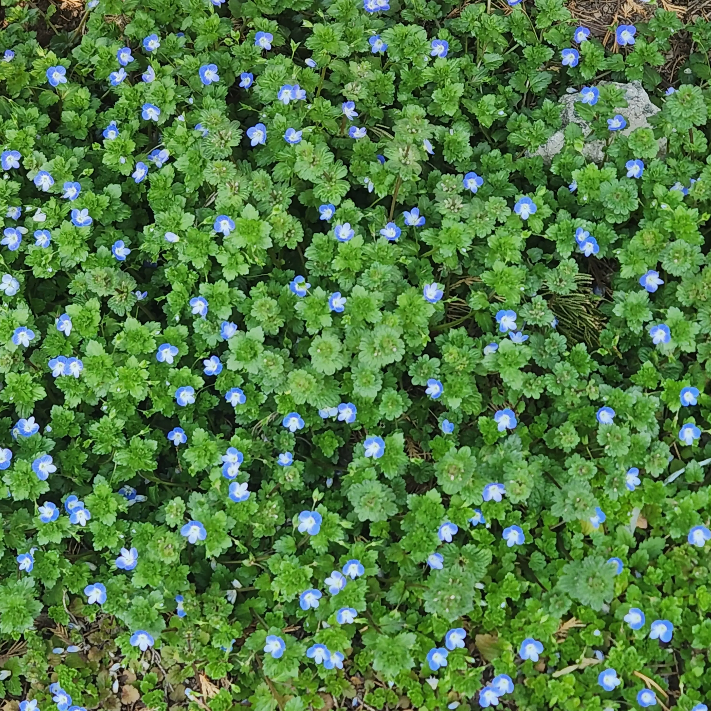 CurvyElk8097의 김규빈