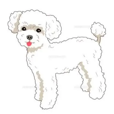 Profile image of 모코