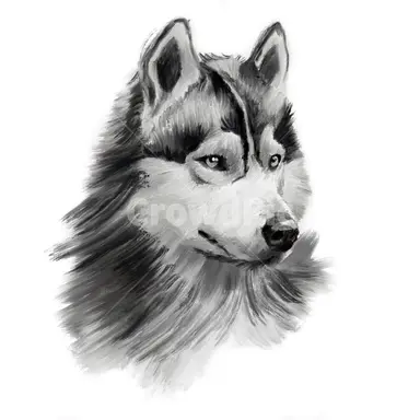 Profile image of 김늑대