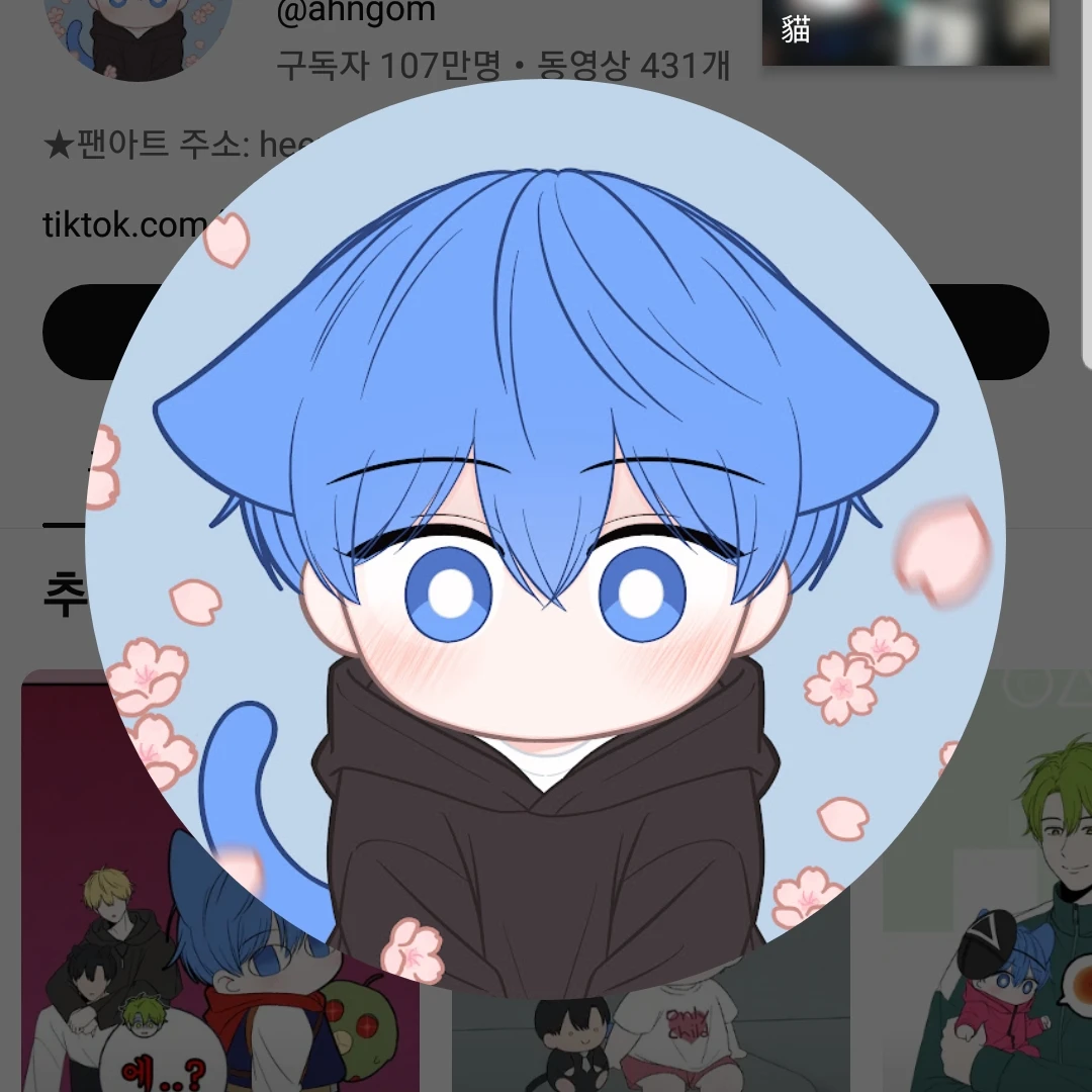 파이냥