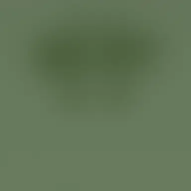 Profile image of すち
