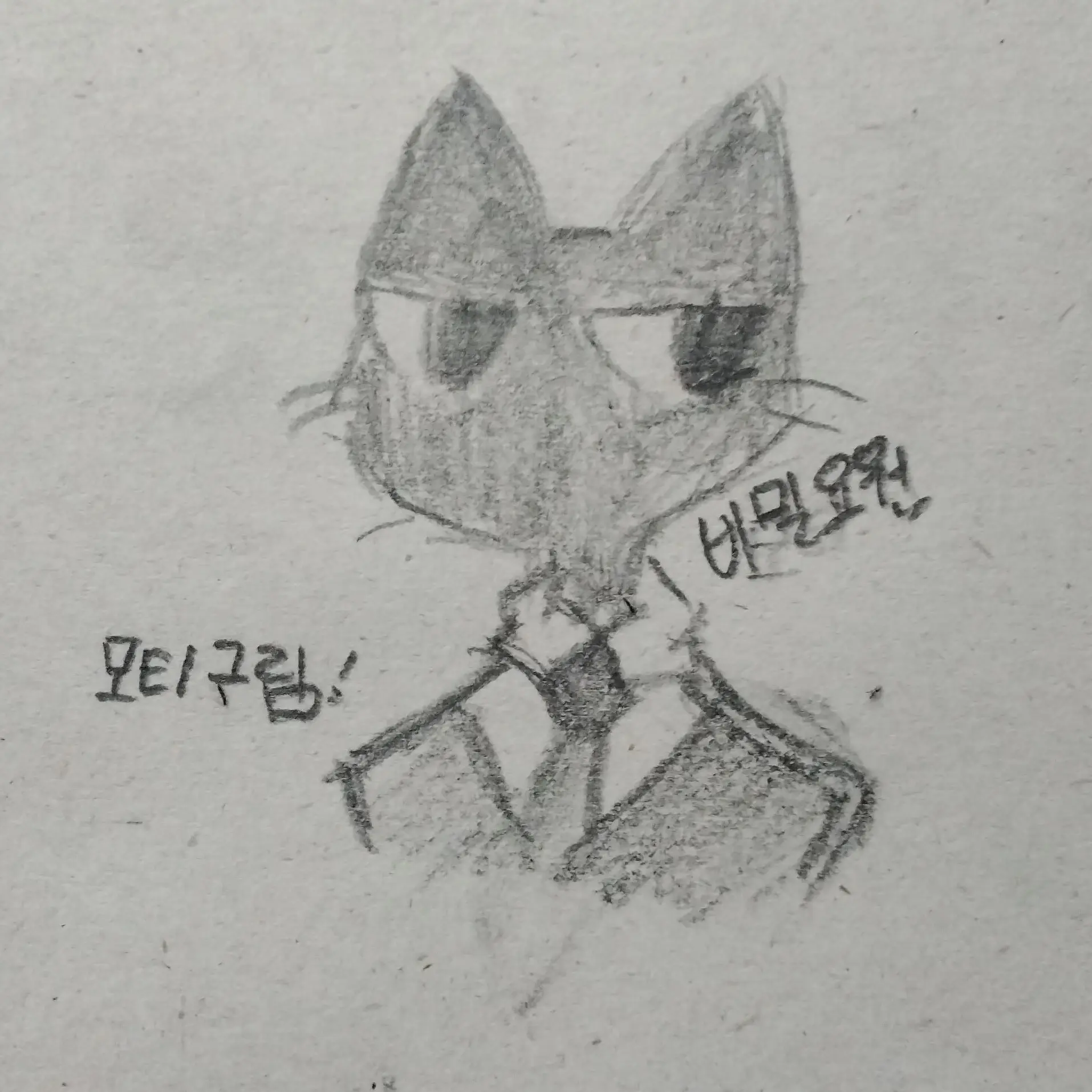 YoungFlake9382의 -동물병원 변칙성-