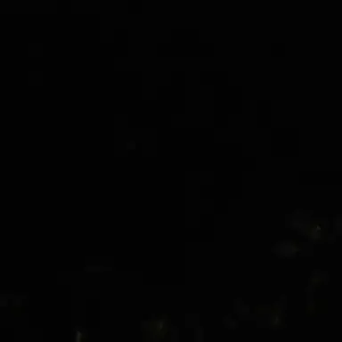 Profile image of 백현