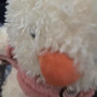 Profile image of 여우