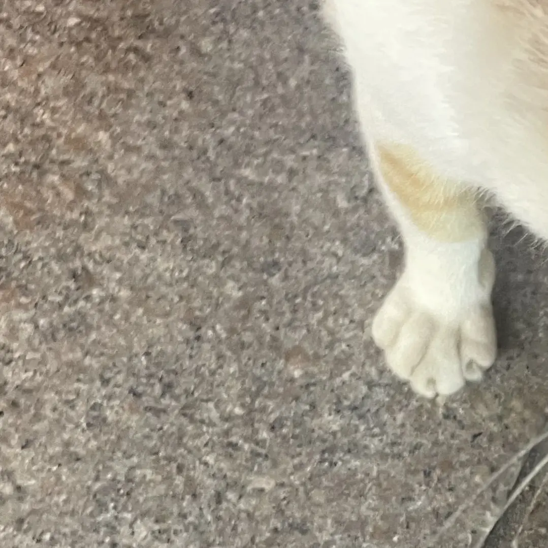 Nyam_nyam__의 유정훈