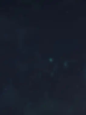 h_r20110422의 🍀𓂃𓈒𓏸︎︎︎︎