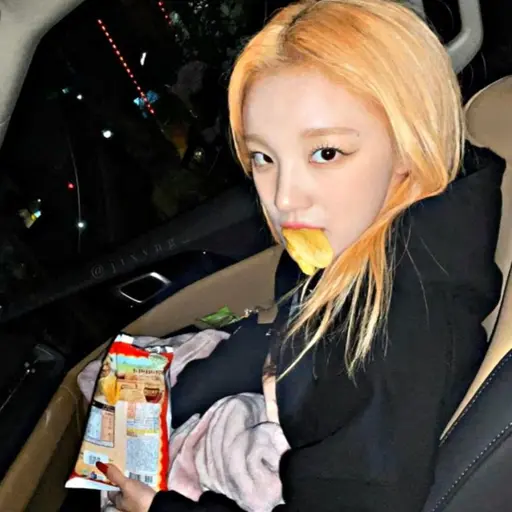 could의 송우기