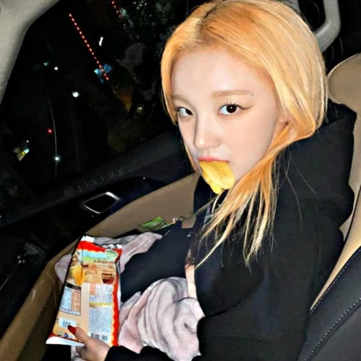 송우기