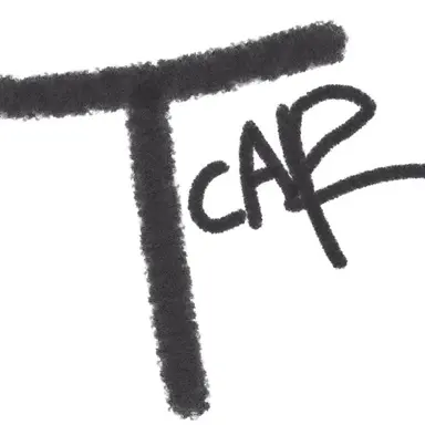 Profile image of CAR-T세포