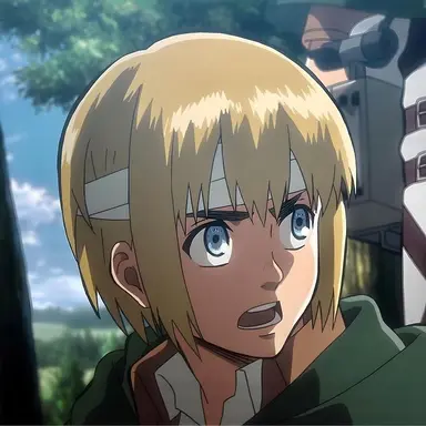 Profile image of アルミン・アルレルト