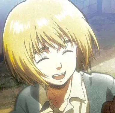 Profile image of アルミン・アルレルト