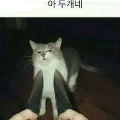 Profile image of 서진