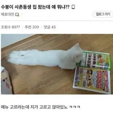 Profile image of 관우