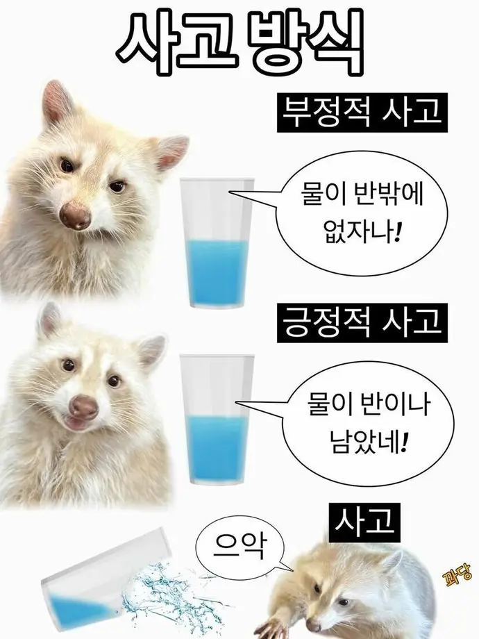 FirmZoo1135의 또국지(예, 또 삼국집니다.)