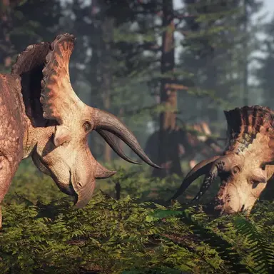 Profile image of 트리케라톱스