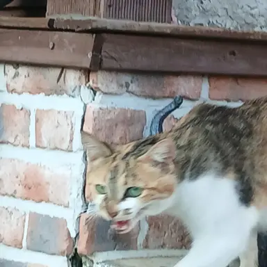 Profile image of 잉크모