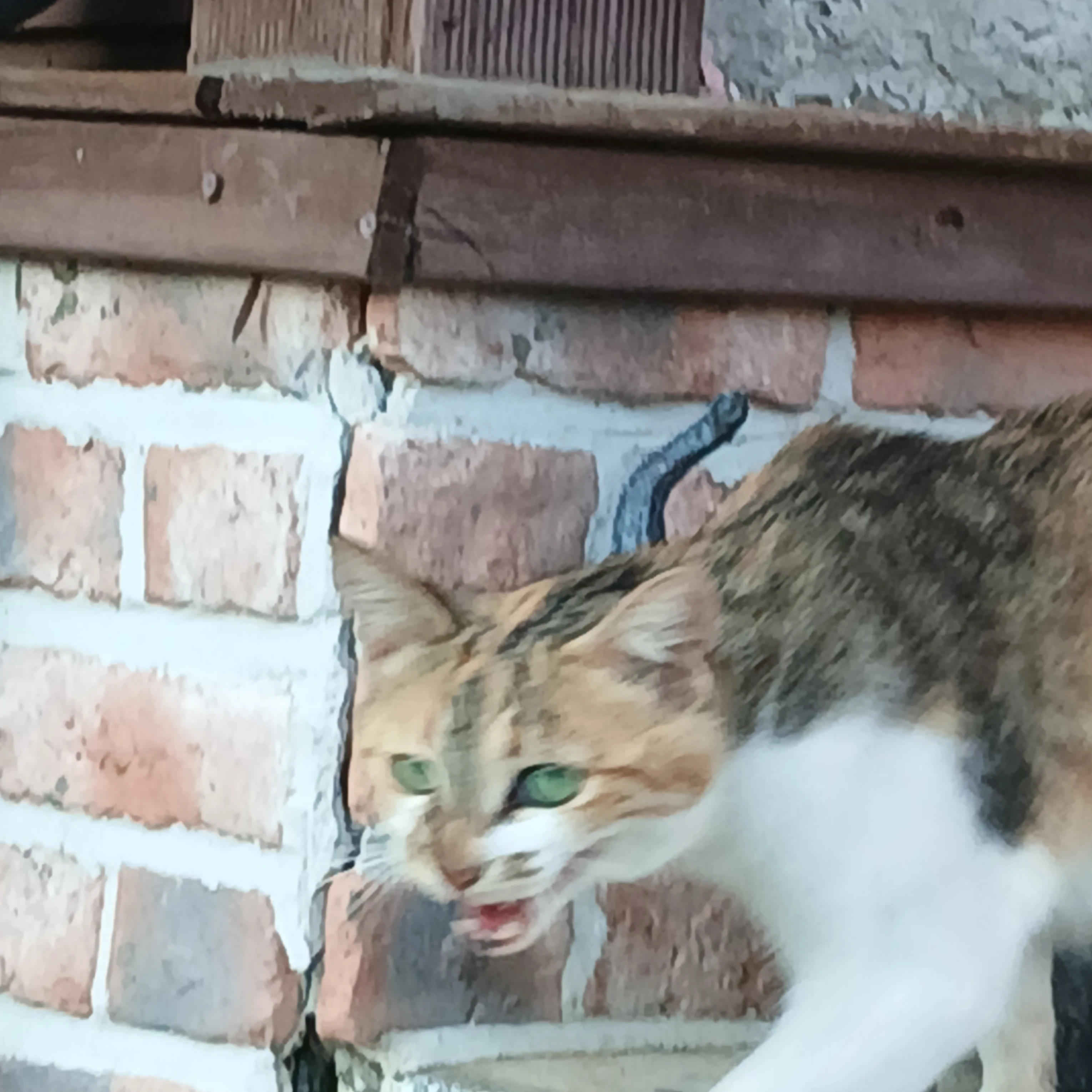 잉크모