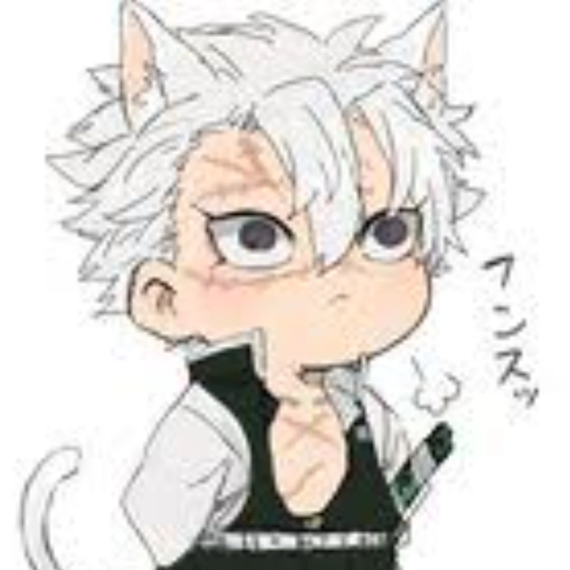 猫の実弥