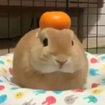 coralchoco의 ㄹㅡㅂ